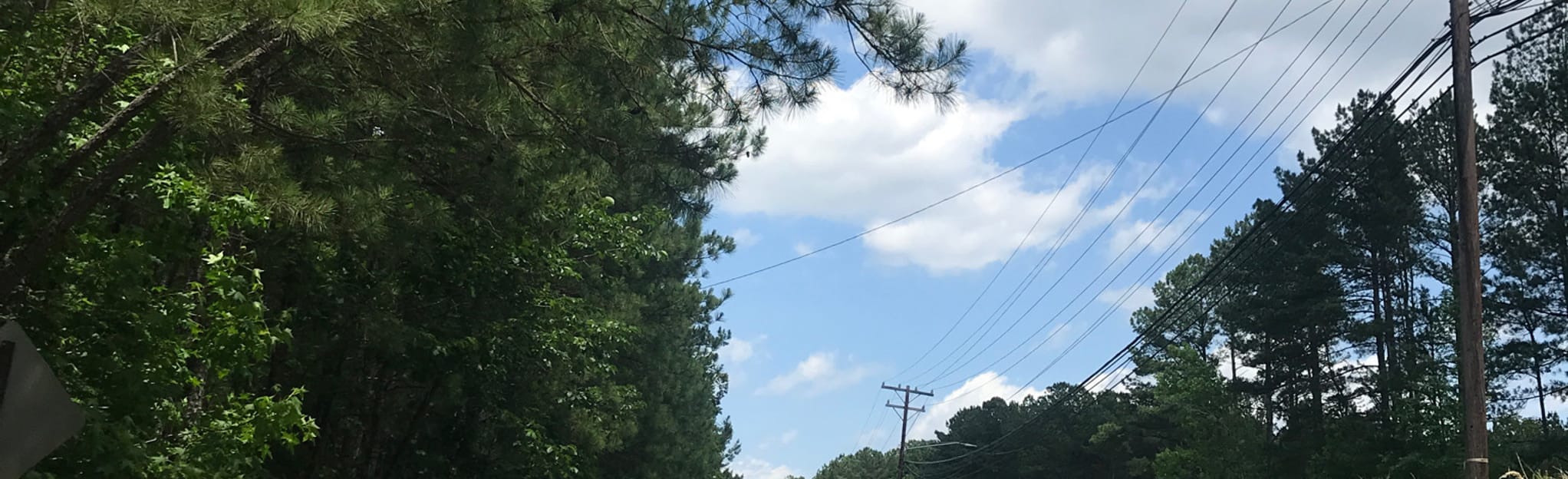 Riddle Road Trail, North Carolina 42 Reviews, Map AllTrails