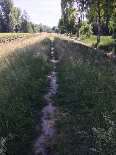 Heidenfahrt bis Budenheim am Rhein