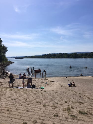 Heidenfahrt bis Budenheim am Rhein