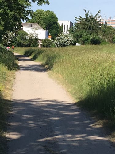 Heidenfahrt bis Budenheim am Rhein