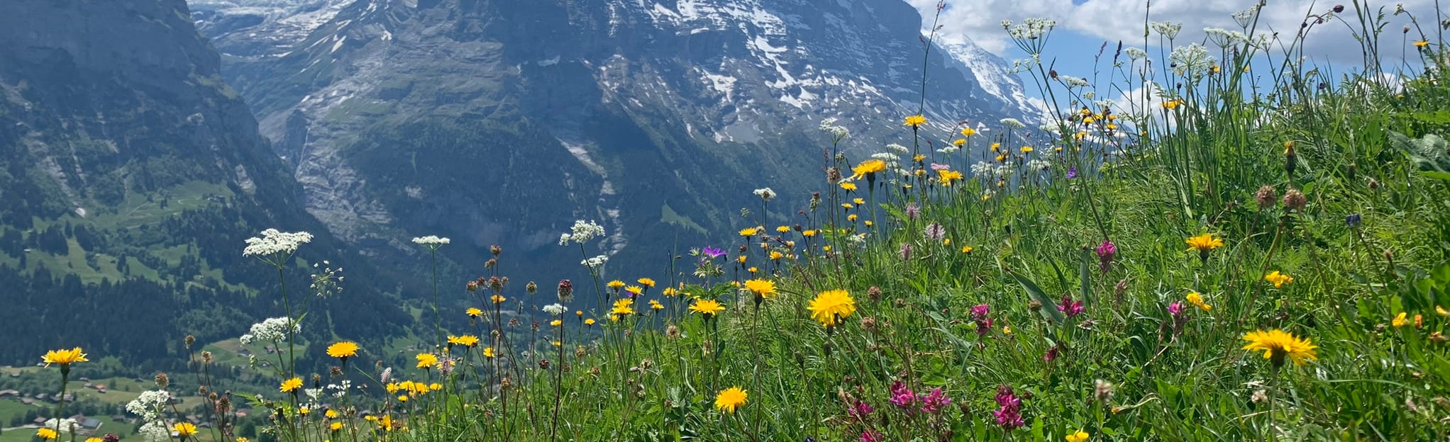 Grindelwald Grosse Scheidegg, Bern, Switzerland 2 Reviews, Map