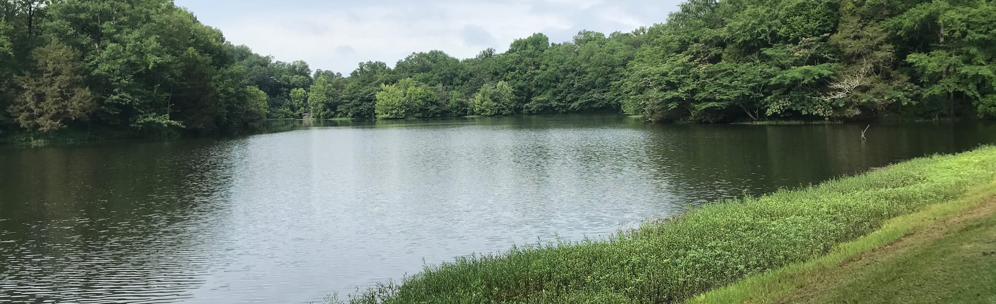 Orr Park to Stephens Park Loop Trail, Alabama 23 Reviews, Map AllTrails