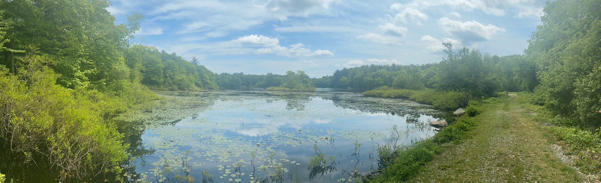 Wompatuck State Park Big Loop  Map, Guide - Massachusetts  AllTrails