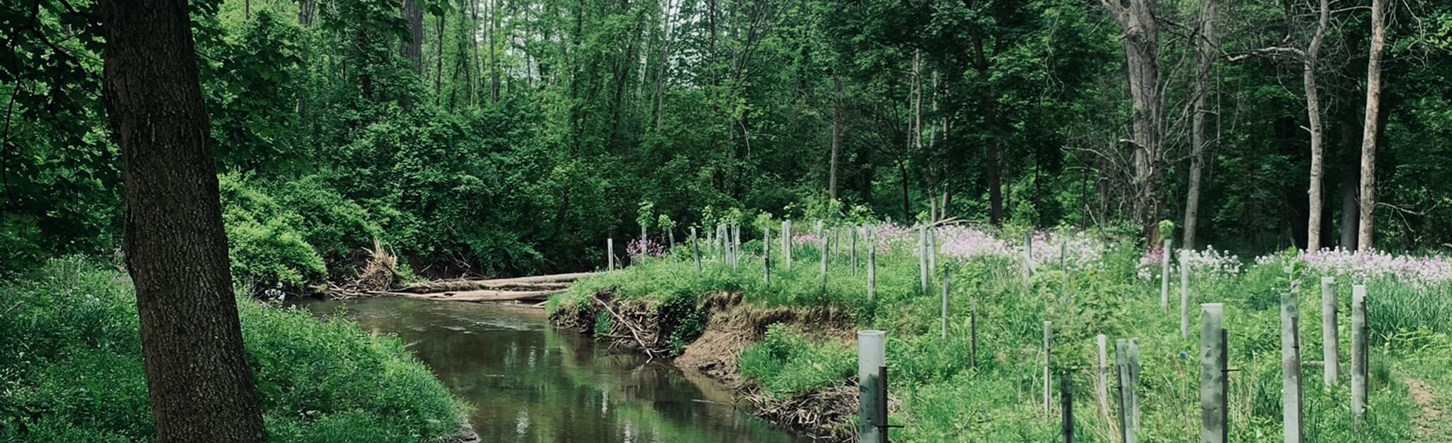 Powder Mills Creek Trail 184 foto's New York AllTrails