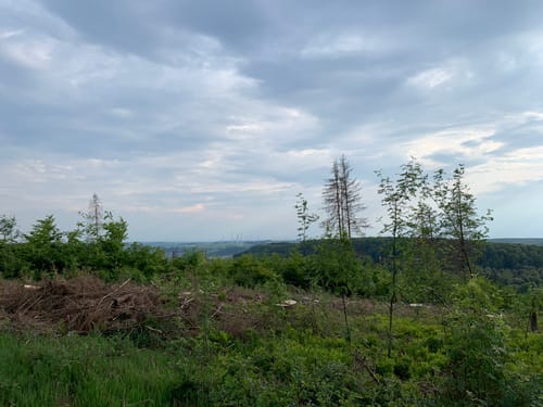 Eggeweg Etappe 1: Externsteine - Bad Driburg