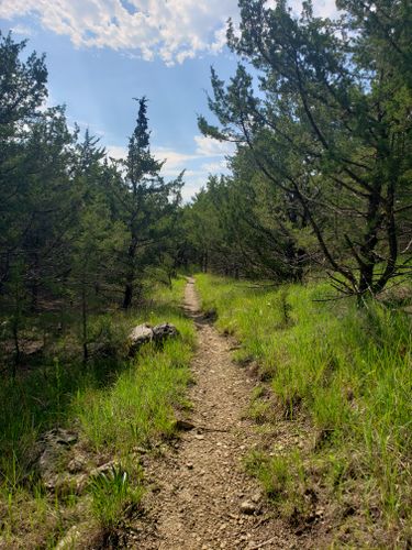 Best Hikes And Trails In Mill Creek Streamway Park | AllTrails