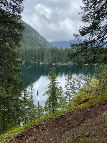 Hikes in the outlet olympic national forest