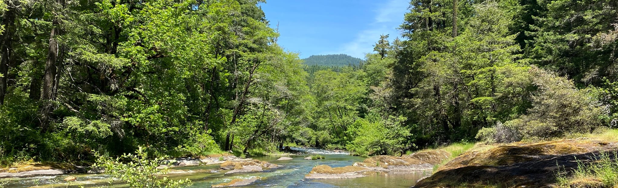 Wolf Creek Falls Trail, Oregon 366 Reviews, Map AllTrails