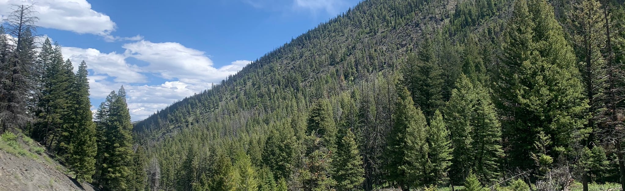 Slate Creek (Hoodoo) Hot Spring, Idaho 14 Reviews, Map AllTrails