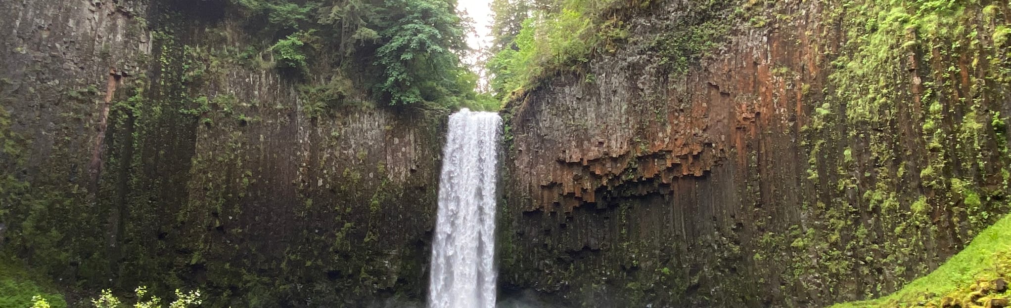 Abiqua Falls Trail: 1785 Reviews, Map - Oregon | AllTrails