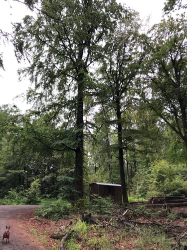 Heinrichsklause Rundweg