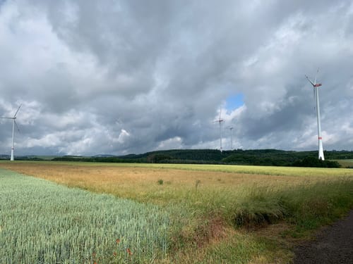 Bäche-Runde und Geierlay Hängebrücke