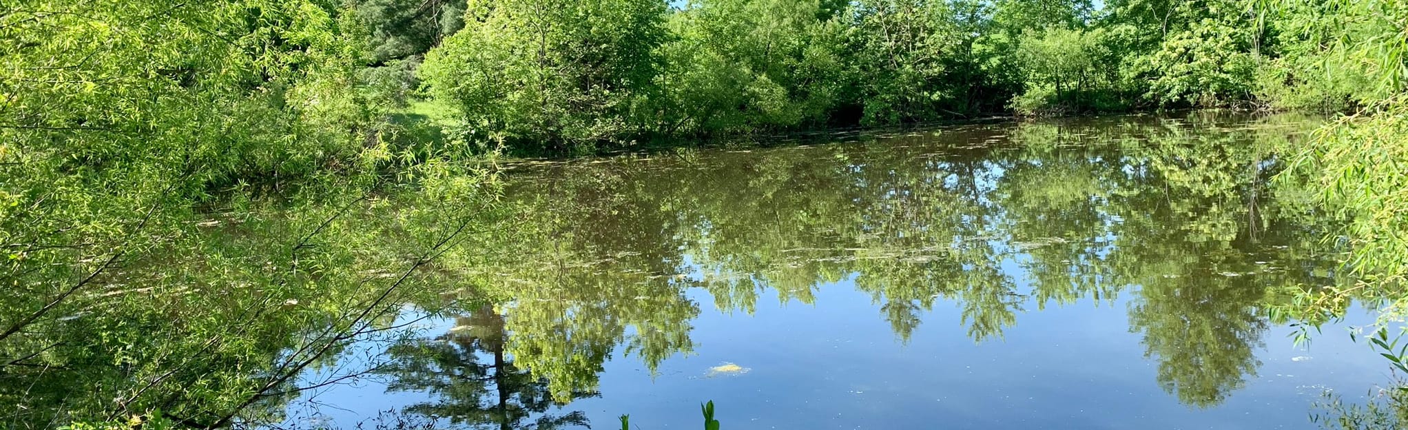 Rock Quarry Park Trail, 10 Photos Missouri AllTrails