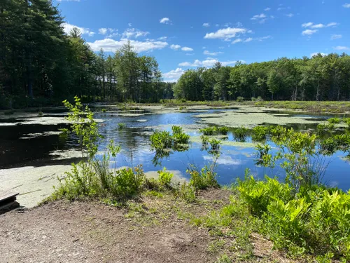 Maynard, MA has an overlooked access point for the Assabet River Rail Trail  and tasty craft beers — MassDayTripping - hiking, beers and fun attractions