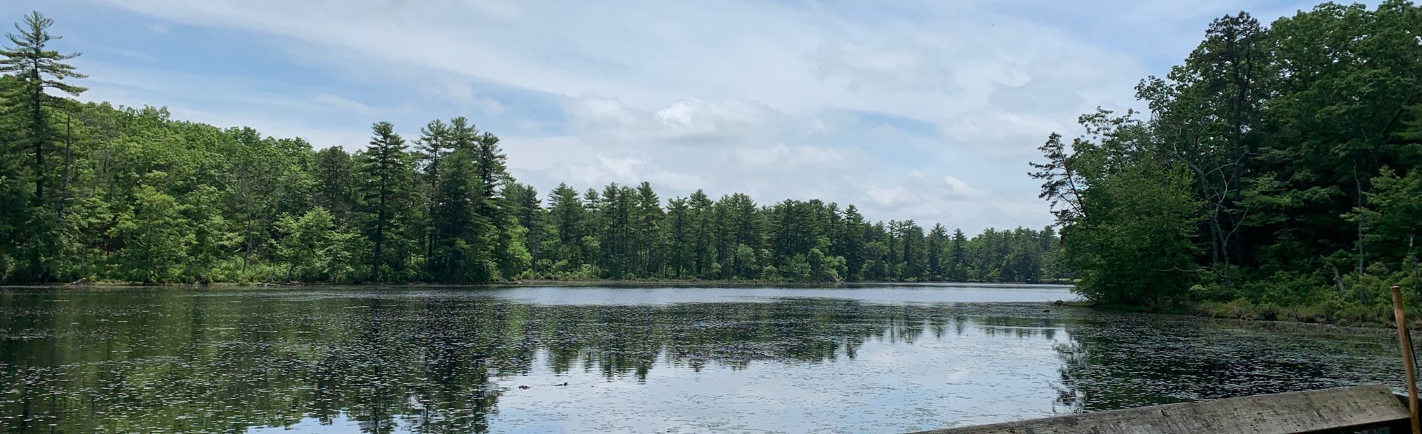 Tillinghast Pond Grand Loop: 215 Reviews, Map - Rhode Island | AllTrails