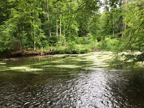 Leutstetten - Gauting