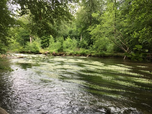 Leutstetten - Gauting