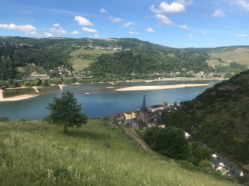 Rhein-Wisper-Glück (Premiumwanderweg)