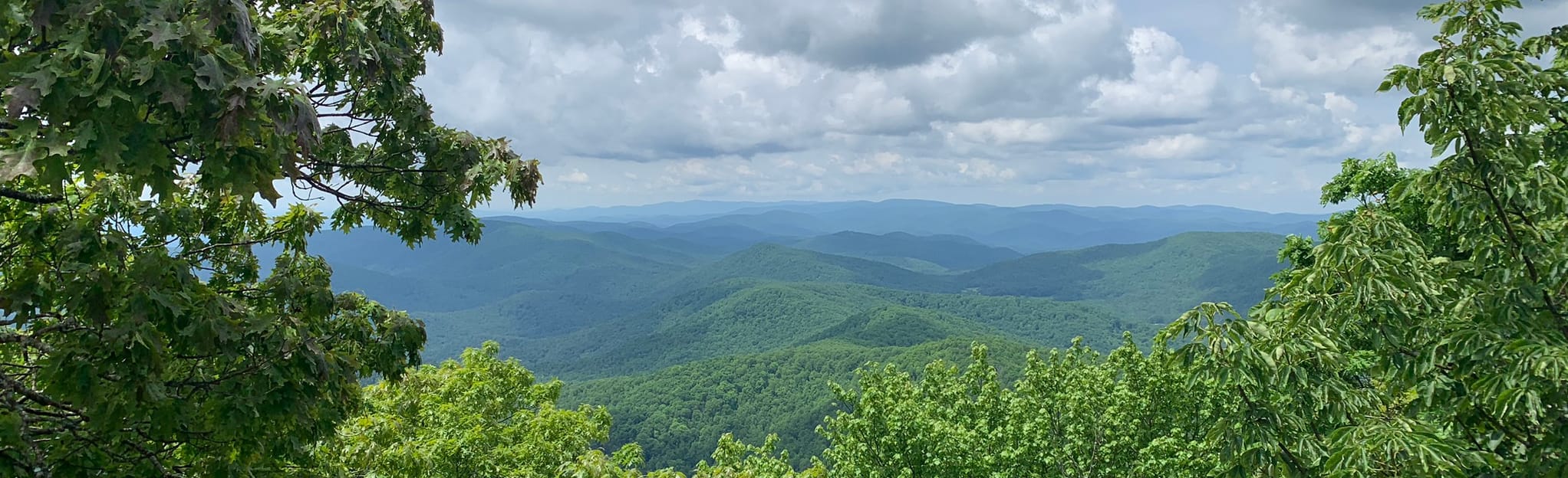 Blood Mountain and Freeman Loop Trail: 2,902 Reviews, Map - Georgia ...