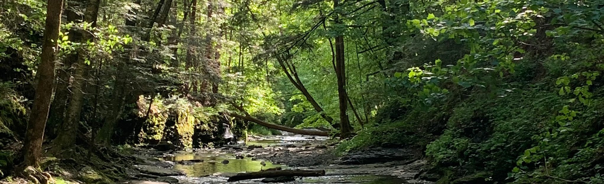 Rexford Falls , New York 70 Reviews, Map AllTrails