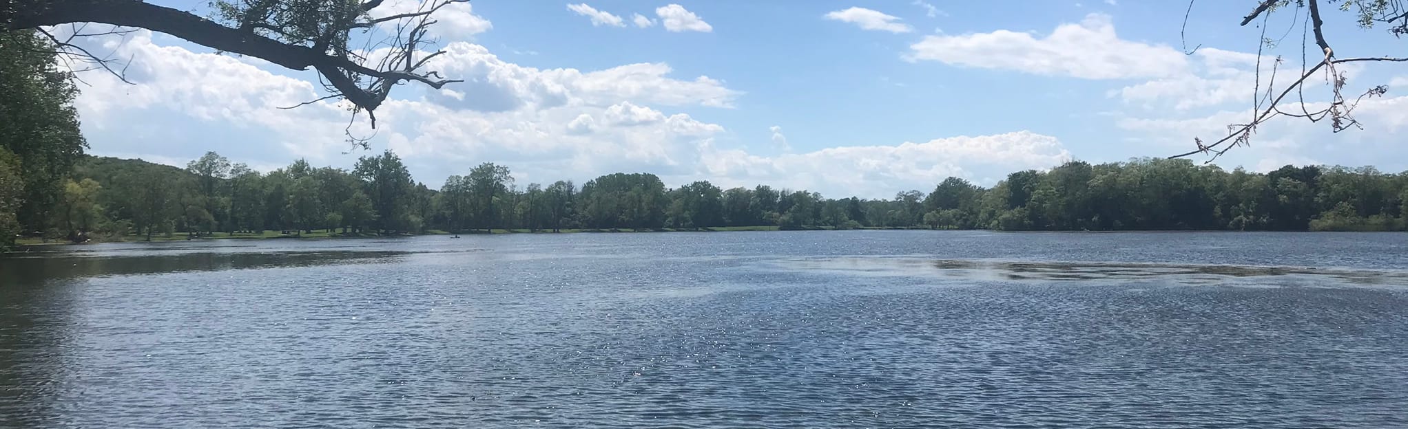 Bond Lake 245 Reviews, Map New York AllTrails