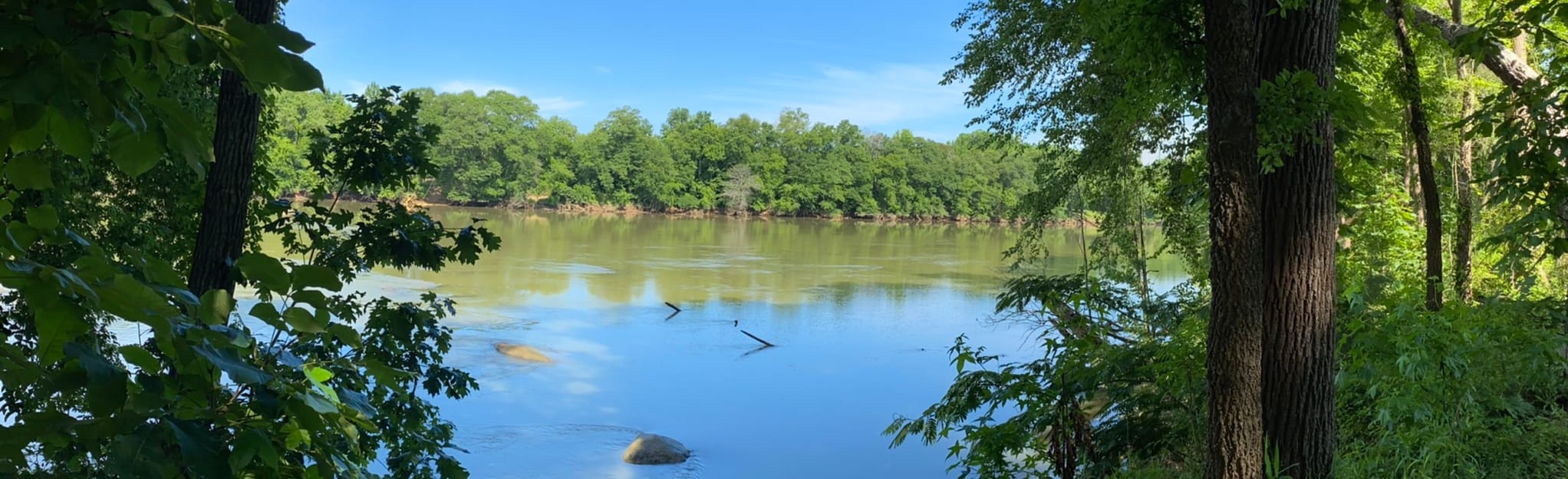 Masons Bend Trail, South Carolina 318 Reviews, Map AllTrails