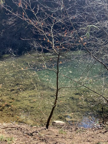 Trödelsteinpfad