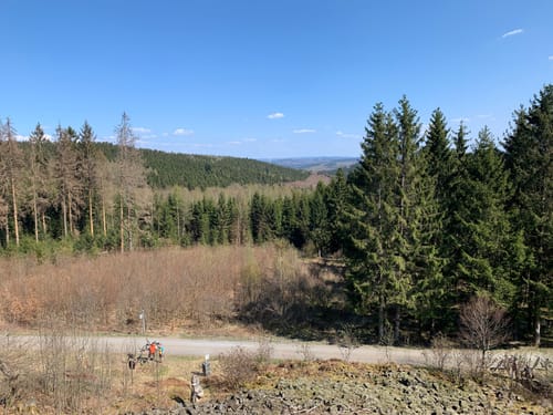 Trödelsteinpfad