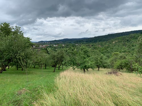 Zwischen Winterbach und Schlichten