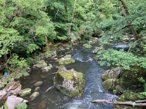 Irrel - Teufelsschlucht Runde