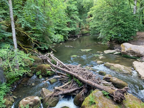Irrel - Teufelsschlucht Runde