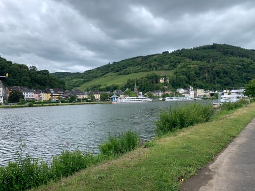 Moselsteig Etappe 13: Traben-Trarbach - Reil