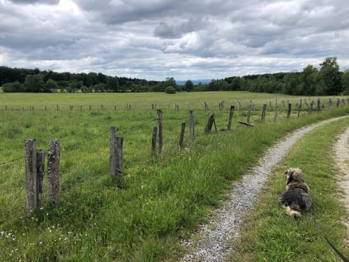 Haubentour (Extratour)