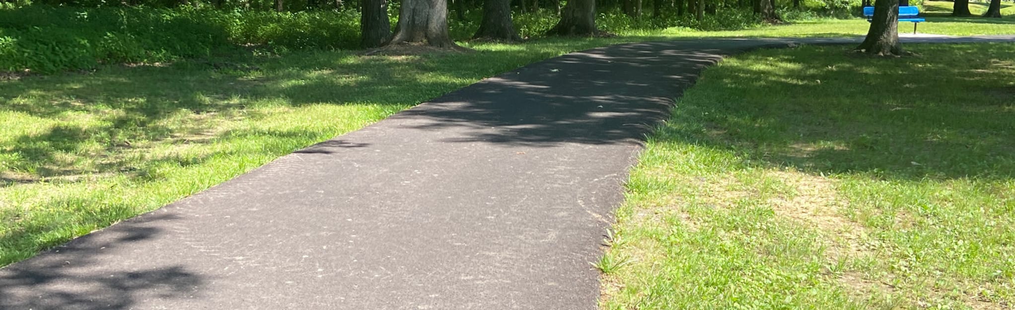 Calvert City Mountain Bike Trail Map, Guide Kentucky AllTrails