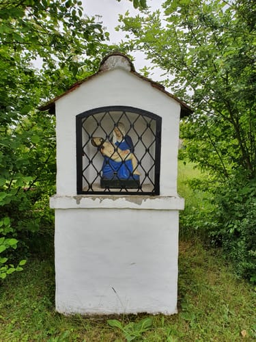 Rund um den Neuensee