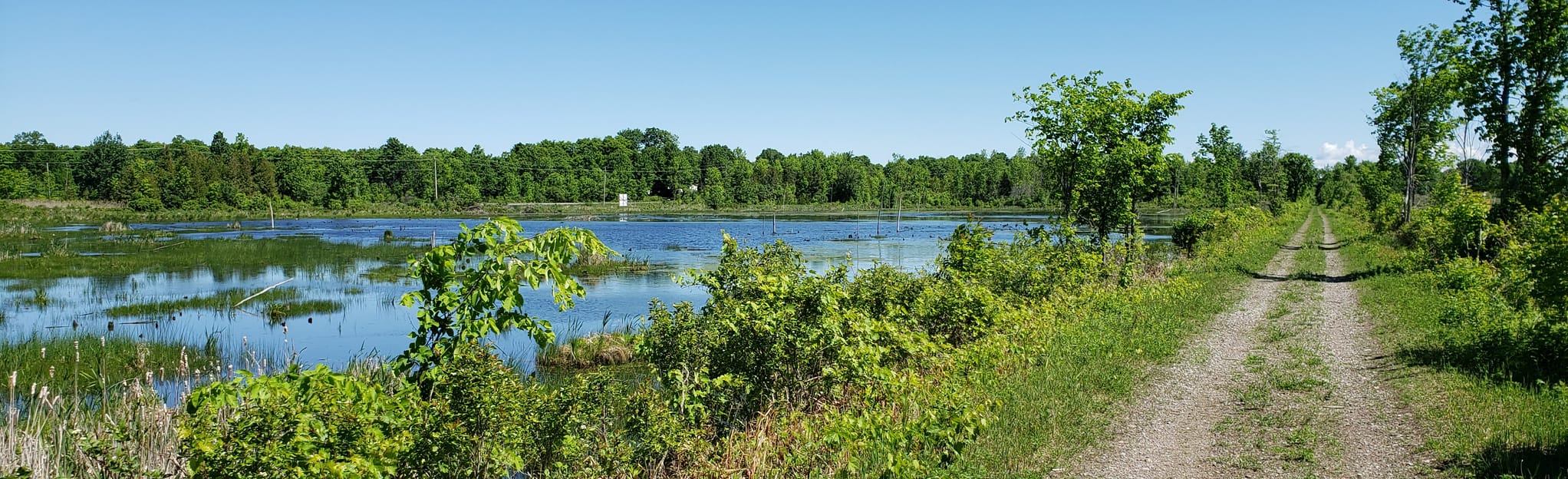 Cataraqui Trail Portland to Otter Lake, Ontario, Canada 15 Reviews
