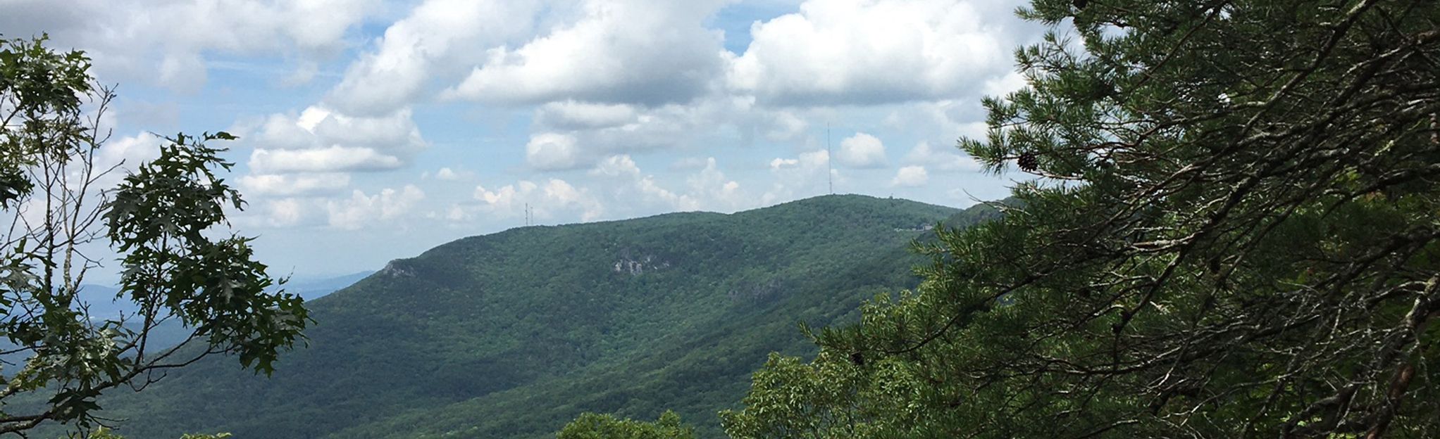 Nubbin Creek Trail to Pinhoti Trail To McDill Point Loop, Alabama - 123 ...