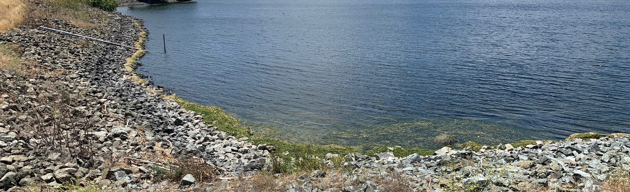 AllTrails Antioch Community Park, East Shore, West Shore, Ridge, Lake