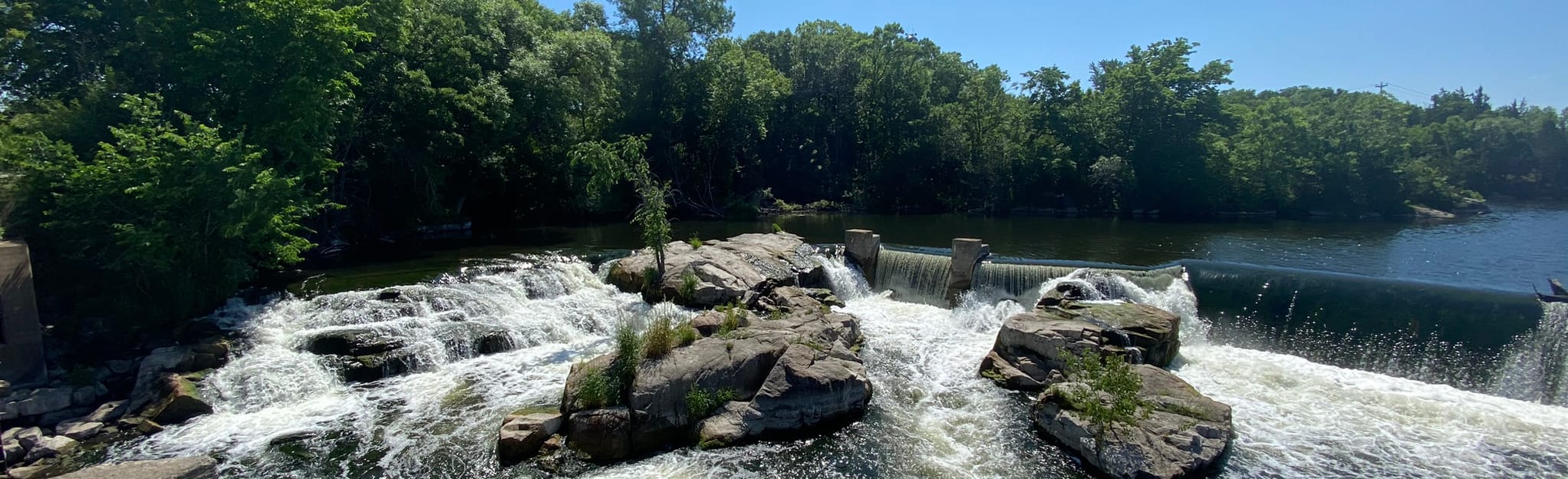 AllTrails Rocori Trail 19 Reviews, Map Minnesota