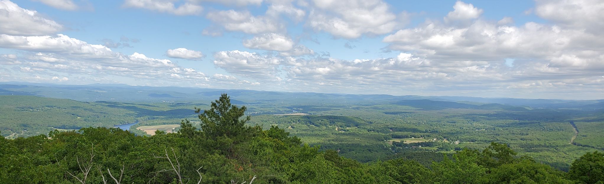 Mount Toby Trail: 817 Reviews, Map - Massachusetts | AllTrails