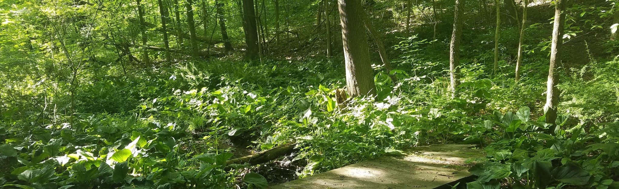 New Concord Reservoir, Ohio 27 Reviews, Map AllTrails