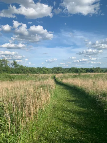 Best Hikes and Trails in Marengo Ridge Conservation Area  AllTrails