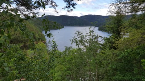 Hohenwarte - Saale Runde