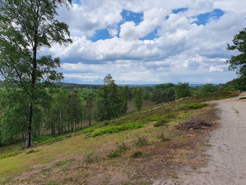 Wulmstorfer Heide