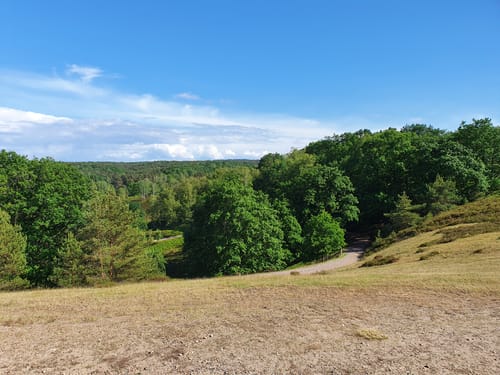 Zum Segelflugplatz durch die Fischbeker Heide