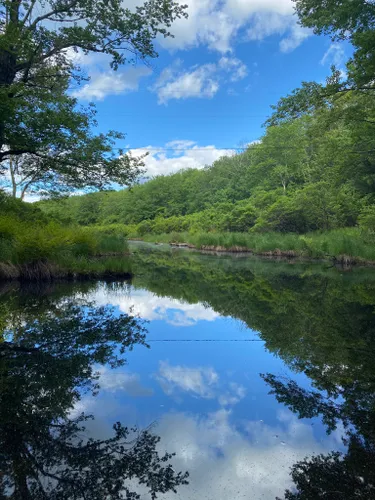 Promised Land State Park