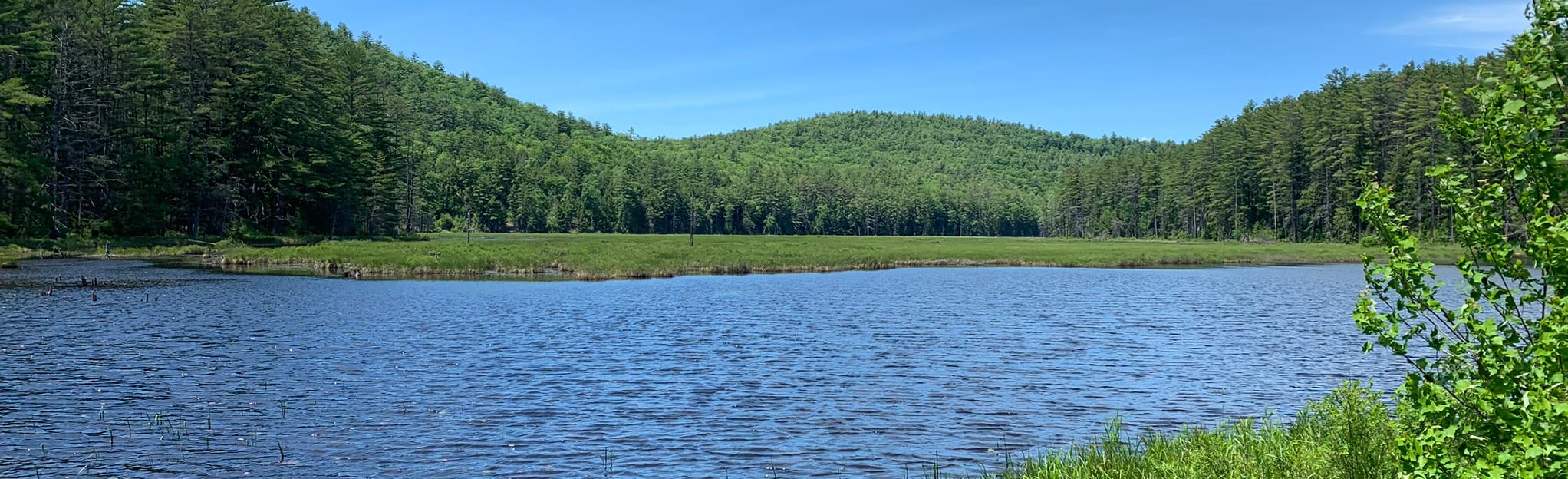 Pack Demonstration Forest Loop Trail 99 Reviews, Map New York