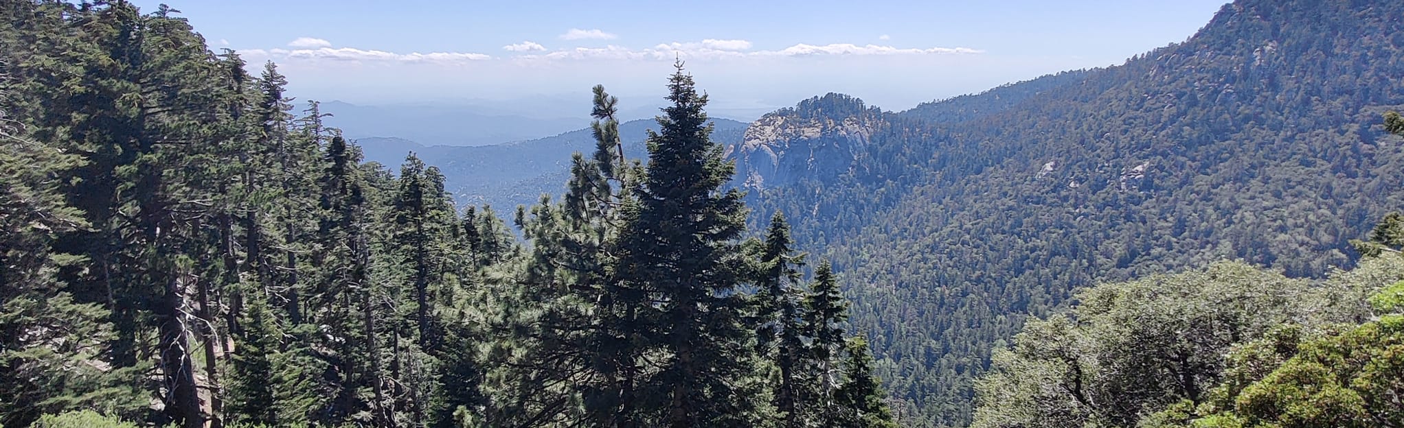 Grubbs Notch to Humber Park via Willow Creek and Devils Slide Trails