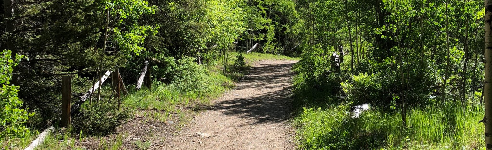 Wheeler Peak East Approach Loop - EyJidWNrZXQiOiJhc3NldHMuYWxsdHJhaWxzLmNvbSIsImtleSI6InVwbG9hZHMvcGhvdG8vaW1hZ2UvMjY5NDU4OTAvOGMwZGM5NDlhNTk3ODE5NGQyN2ZmNjJkOTZmOWI1OTguanBnIiwiZWRpdHMiOnsidG9Gb3JtYXQiOiJqcGVnIiwicmVzaXplIjp7IndpZHRoIjoyMDQ0LCJoZWlnaHQiOjYyNCwiZml0IjoiY292ZXIifSwicm90YXRlIjpudWxsLCJqcGVnIjp7InRyZWxsaXNRdWFudGlzYXRpb24iOnRydWUsIm92ZXJzaG9vdERlcmluZ2luZyI6dHJ1ZSwib3B0aW1pc2VTY2FucyI6dHJ1ZSwicXVhbnRpc2F0aW9uVGFibGUiOjN9fX0=