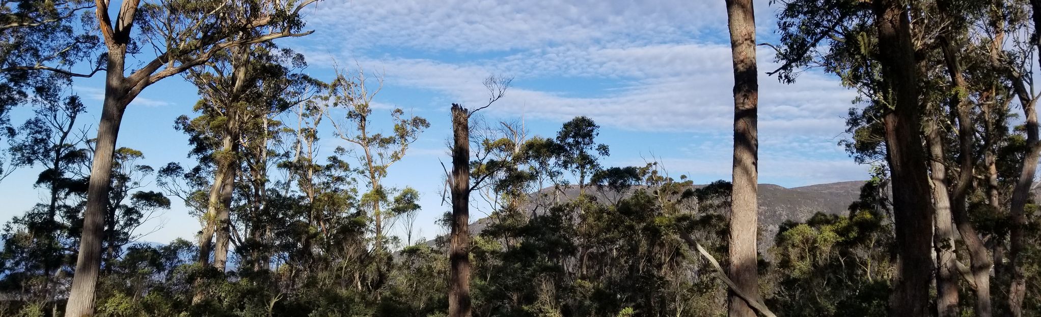 Mount Hull Loop, Tasmania, Australia - 5 Reviews, Map | AllTrails